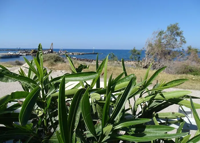 Nama House Монолитос